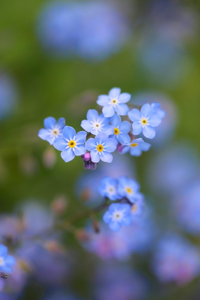 ŽIVOT – Jájsem.com